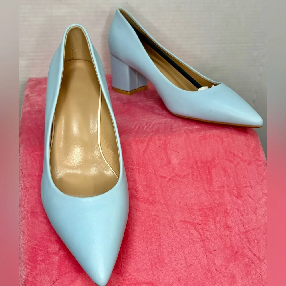 Women’s Powder Blue Pointed Toe Block Heel Pumps Size 8.5 (EU 39) NWOT